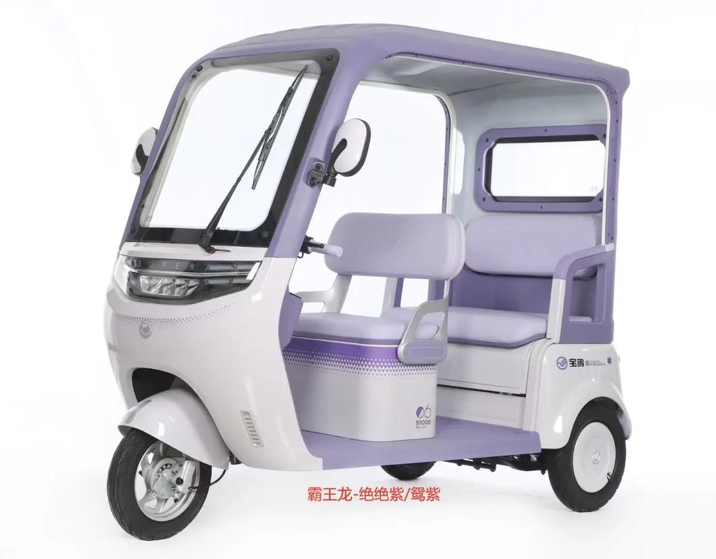 总有一款适合你 ,宝鸽#三轮车 您值得拥有 - 抖音